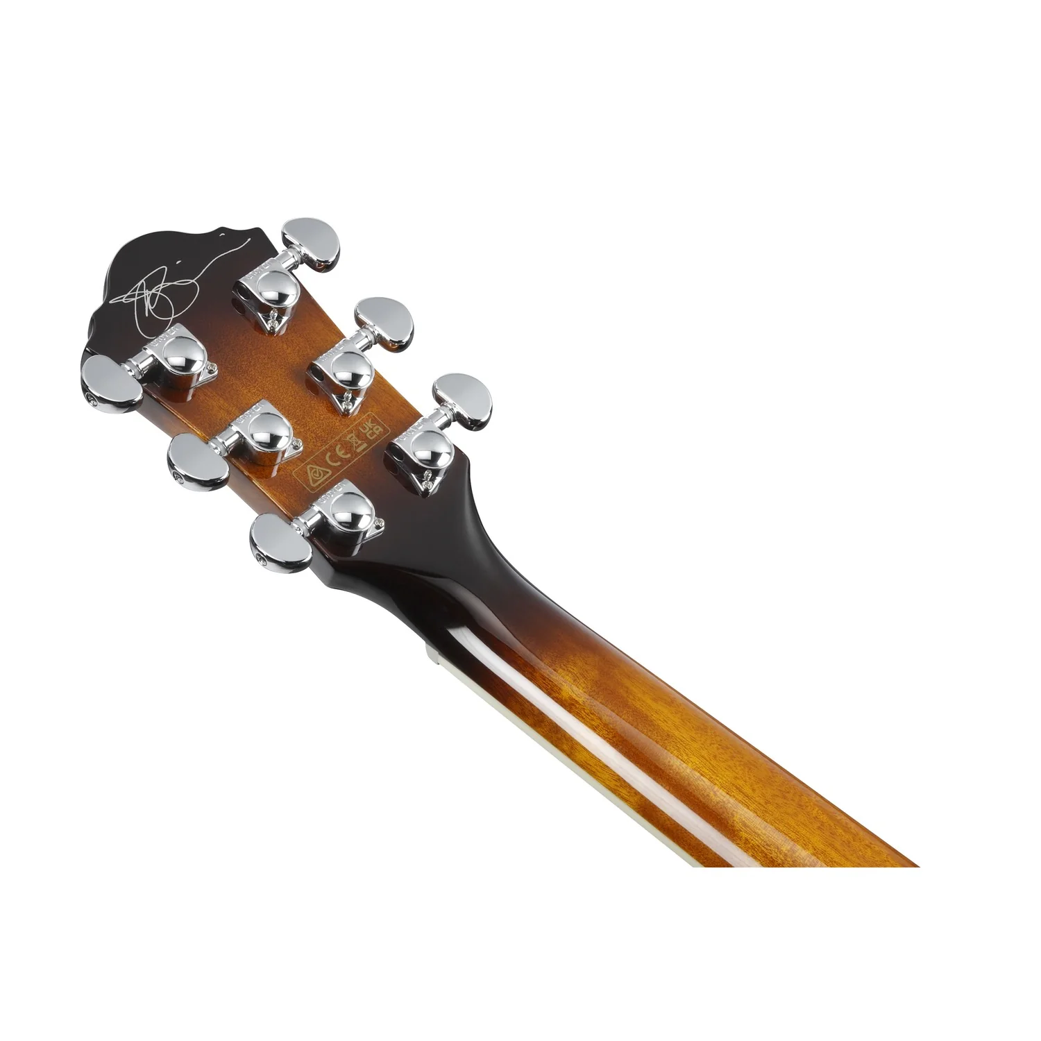 Ibanez JSA5 Joe Satriani Signature Acoustic-Electric Guitar - Image 11