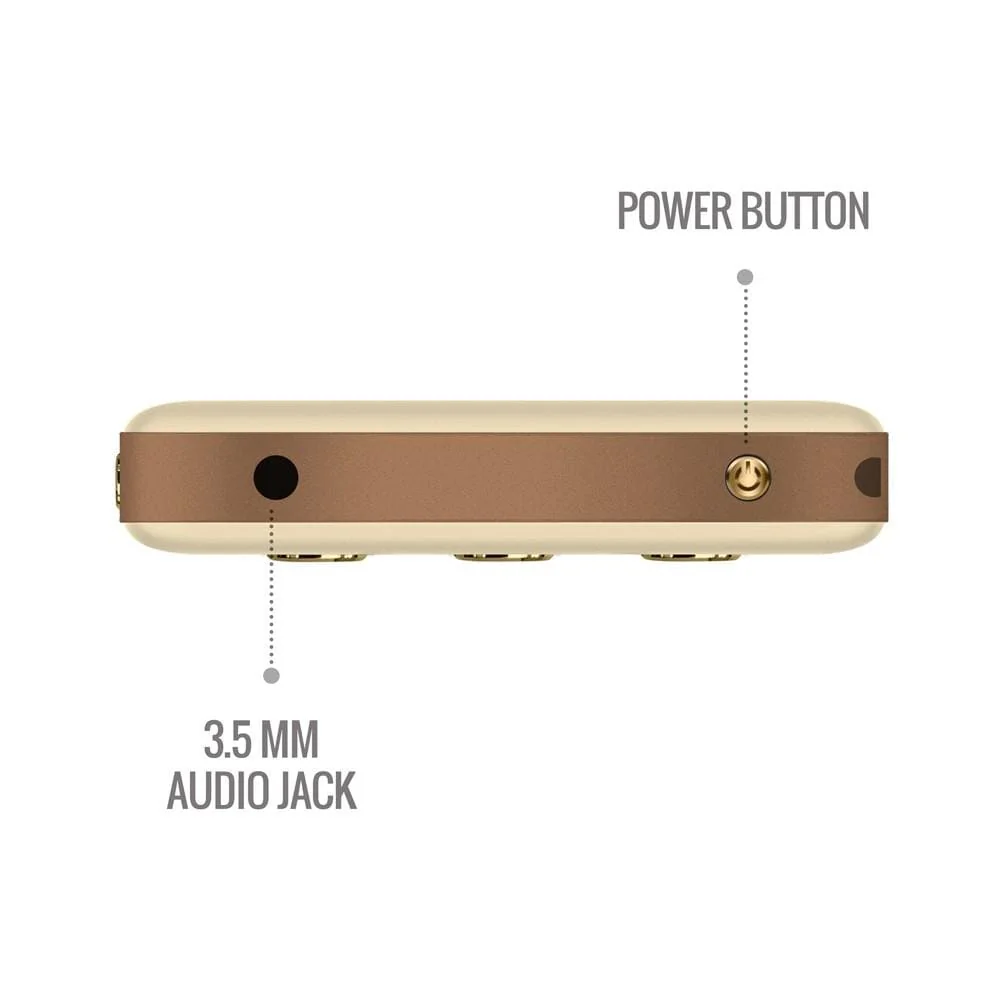 Saregama Carvaan Go Gold Portable Audio Player With 3000 Pre-Loaded Retro Hindi Songs - Image 4